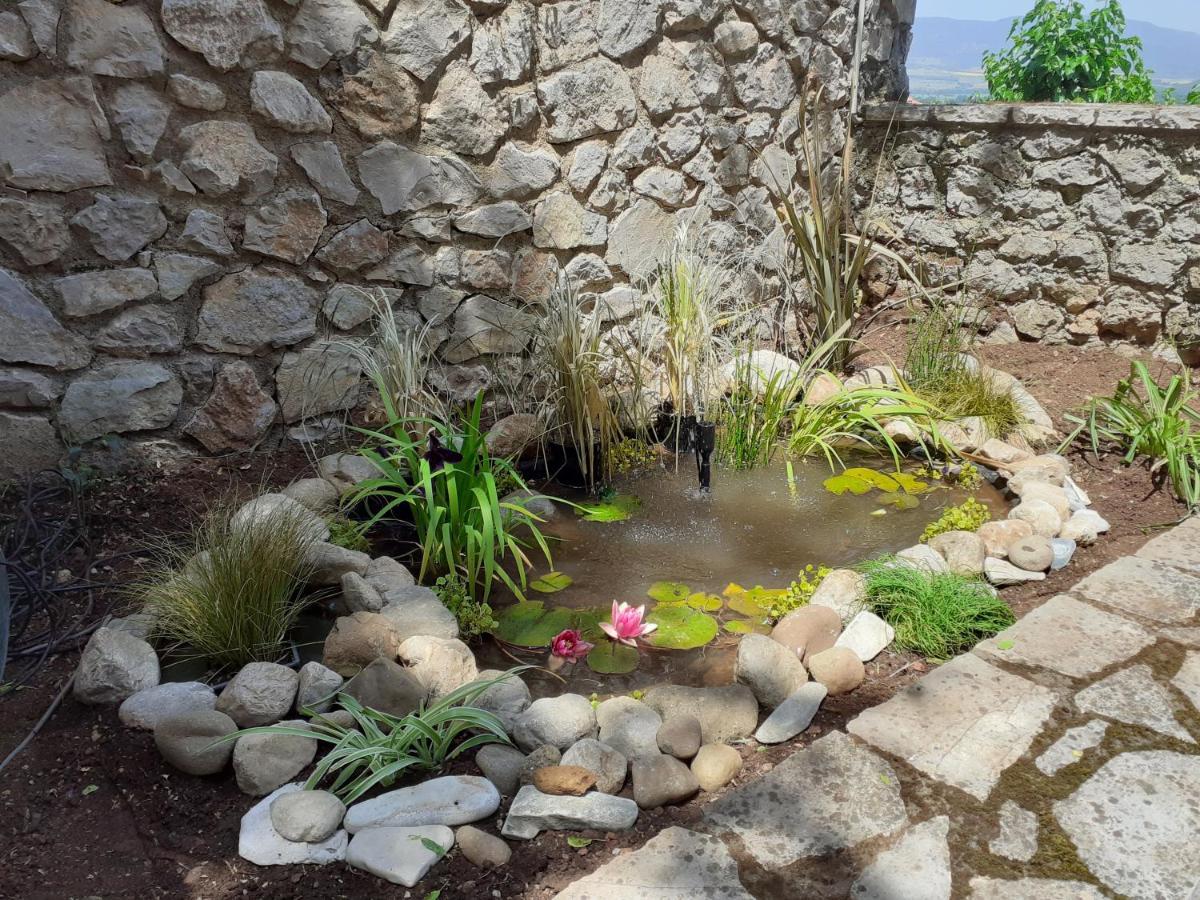 Agoriani Art Suite - 4 Seasons' Natural Living Lílaia Exterior foto